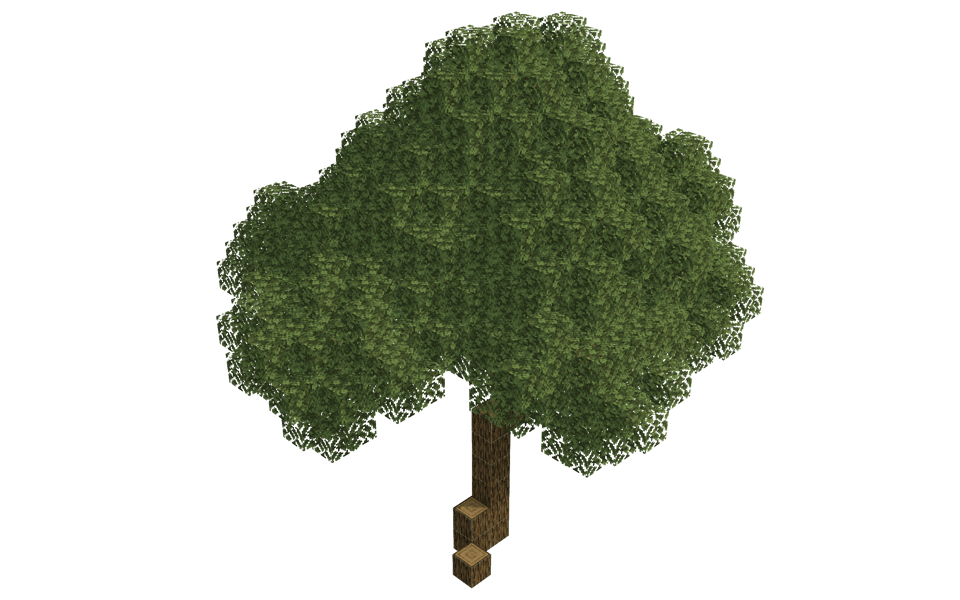 Oak tree 05 - 3/4 right